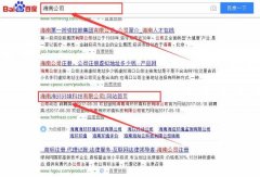 海南海環(huán)環(huán)境科技有限公司跟本公司簽訂搜索引擎優(yōu)化項目