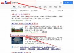 安徽安鋁鋁業有限公司跟本公司簽訂搜索引擎優化項目