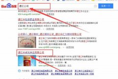 湛江市*龍食品有限公司與海洋網(wǎng)絡(luò)簽署關(guān)鍵詞搜索排名項(xiàng)目