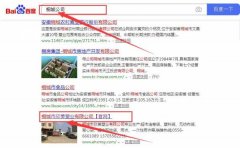 桐城市欣*塑業有限公司跟本公司簽訂搜索引擎優化項目