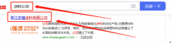 浙江志*涂料有限公司百度排名快照案例欣賞