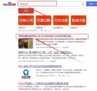 湖南*堂食品有限公司網站優化專注一站式品牌營銷整合推廣