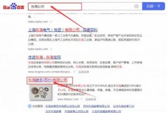 東海*素(蘇州)有限公司網站SEO優化讓網站輕松覆蓋在搜索引擎