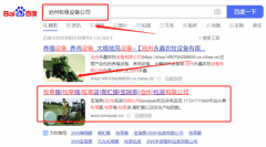 寶瑞*（滄州）包裝有限公司網絡營銷營銷策劃優質品牌