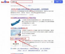 東營一*新材料有限公司網站優(yōu)化案例欣賞