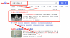 蘭溪市歐*照明有限公司網站SEO優化排名效果展示