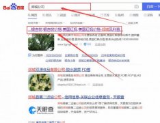 郯城鳳*苗木有限公司網(wǎng)站SEO優(yōu)化到首頁(yè)無(wú)排名不收費(fèi)