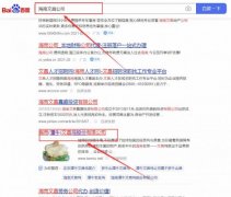 海南(潭*)文昌雞股份有限公司網站優化最快上詞效果展示