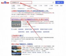 高安市富*堂醫藥科技有限公司快速排名保證在首頁效果