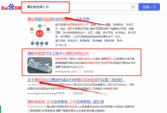 清*新能源汽車工程中心(襄陽)有限公司新站排名到首頁按天扣費