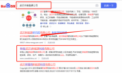 舉*（武漢）新能源科技有限公司新站排名營銷策劃優質品牌