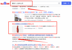 青島美*防火科技股份有限公司網站SEO優化排名案例欣賞