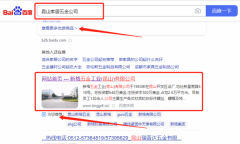 新*五金工業（昆山）有限公司網站排名排名效果展示