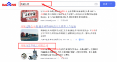 鳳城市富*化工有限公司網站優化保證在首頁效果