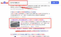 廣西南寧市*星電子衡器有限責(zé)任公司網(wǎng)絡(luò)營銷到首頁按天扣費(fèi)