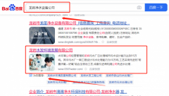 龍巖水*環(huán)境發(fā)展有限公司整站優(yōu)化營(yíng)銷+精準(zhǔn)獲客