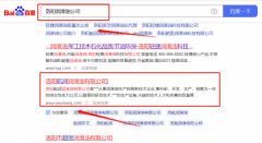 洛陽*潤潤滑油有限公司網(wǎng)絡(luò)營銷案例欣賞