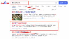 廊坊趣*玩具有限公司百度關(guān)鍵詞排名專注一站式品牌營銷整合推廣