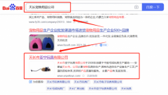 天長市*寧玩具有限公司SEO考網站