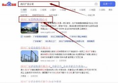 四川廣安*博玻璃工業有限公司關鍵詞推廣排名效果展示