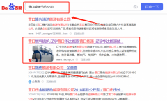 遼寧*達(dá)能源技術(shù)有限公司網(wǎng)絡(luò)營(yíng)銷(xiāo)營(yíng)銷(xiāo)+精準(zhǔn)獲客