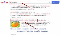 安康亞*現代農業開發有限公司網站優化最快上詞效果展示