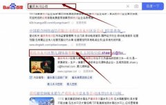 重慶市永川區傻*調味品有限公司網站優化讓網站輕松覆蓋在搜索引擎