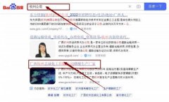 廣西欽州志*化工有限公司網站優化到首頁無排名不收費