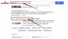 重慶華*制藥股份有限公司關鍵詞推廣最快上詞效果展示