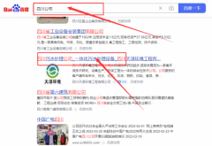 四川天*環境工程有限公司網站優化排名效果展示