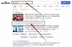 四川大*洋焊接材料股份有限公司網站優化整合營銷推廣
