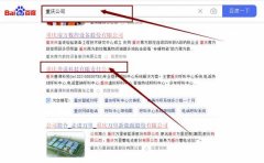 重慶善*科技有限責任公司網站排名最快上詞效果展示