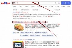 諸城市億*食品有限公司網站優化保證在首頁效果