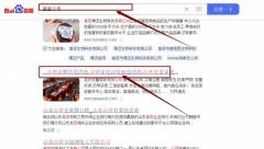 高密宏*家政有限公司網(wǎng)站優(yōu)化到首頁無排名不收費