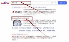 臨海市壓*表廠(有限公司)網(wǎng)站優(yōu)化最快上詞效果展示