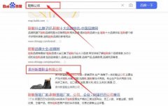 泉州新*鞋業(yè)有限公司網(wǎng)站推廣品牌營銷策劃機(jī)構(gòu)