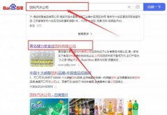 青島健*泉食品飲料有限公司網站優化專注一站式品牌營銷整合推廣