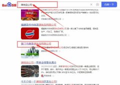 ?晉江市康*調味品有限公司網站優化排名效果展示