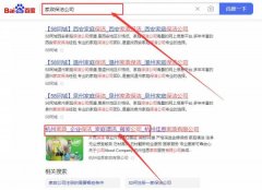 杭州佳*家政服務有限公司整站優(yōu)化快上詞效果展示
